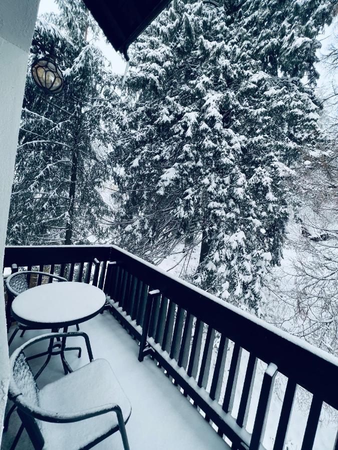 Din Poienita Poiana Brasov