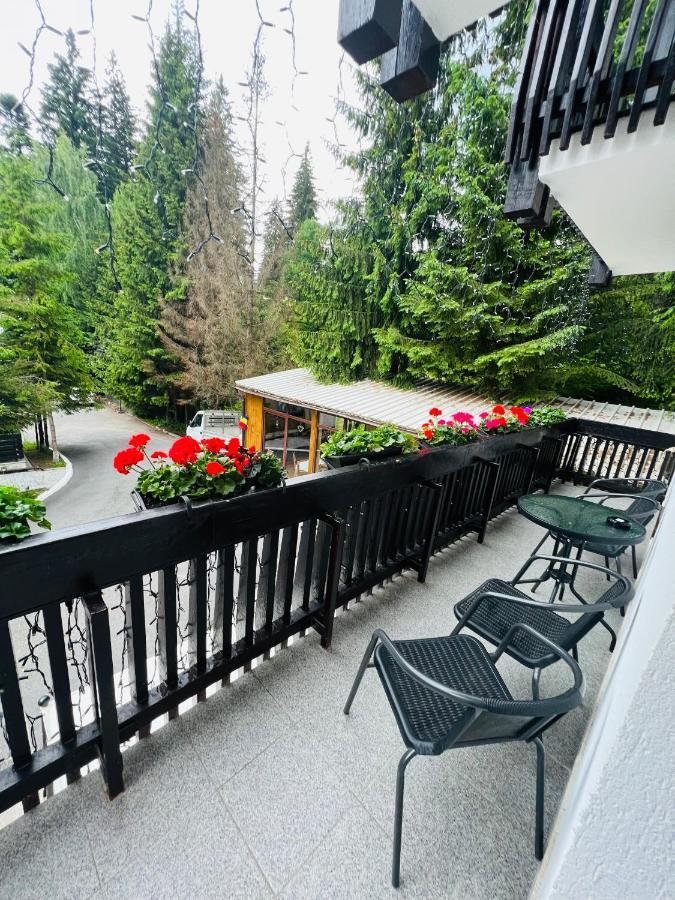Din Poienita Guest house Poiana Brasov