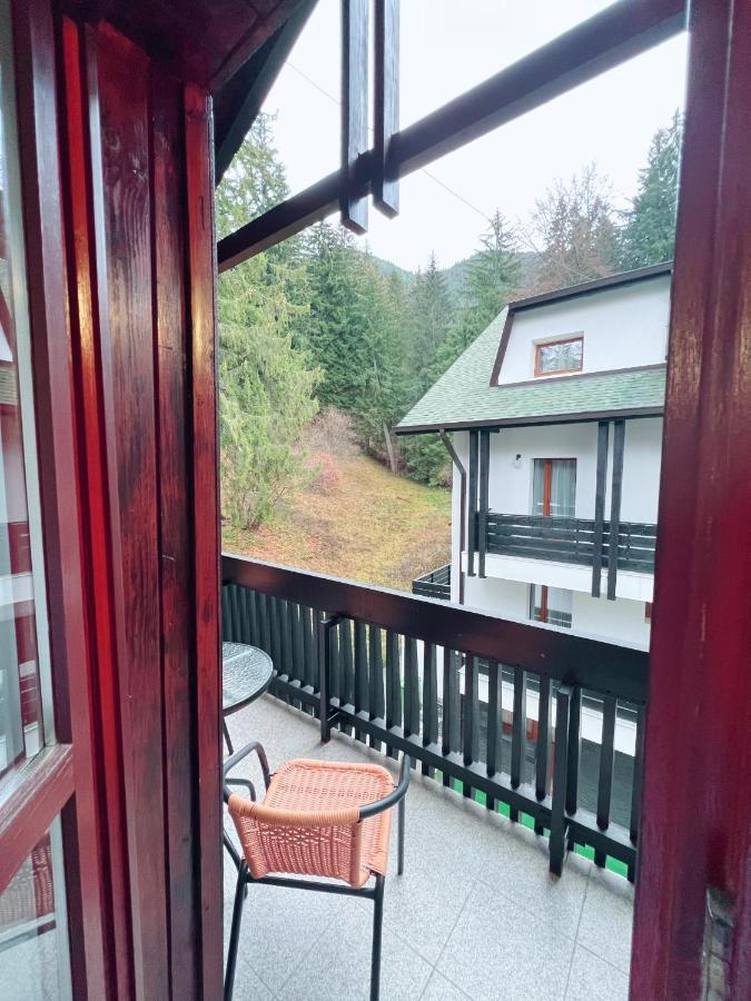 Din Poienita Guest house *