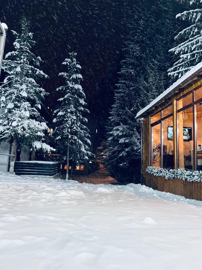 Guest house Din Poienita Poiana Brasov