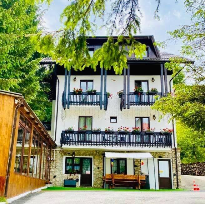 Din Poienita Guest house Poiana Brasov