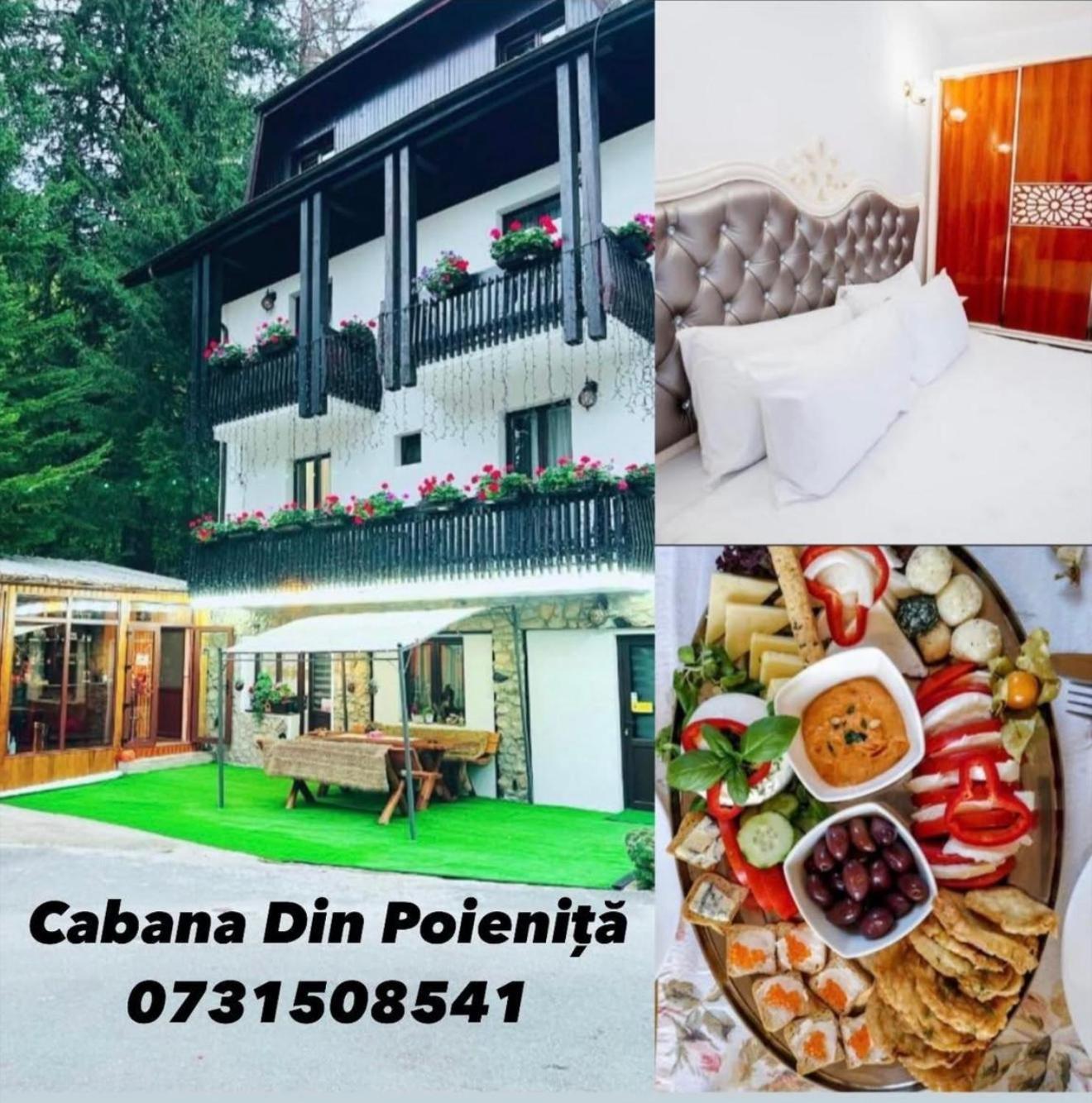 Din Poienita Guest house